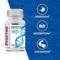 Evogen Evozyme capsules showcasing high potency formula for digestion