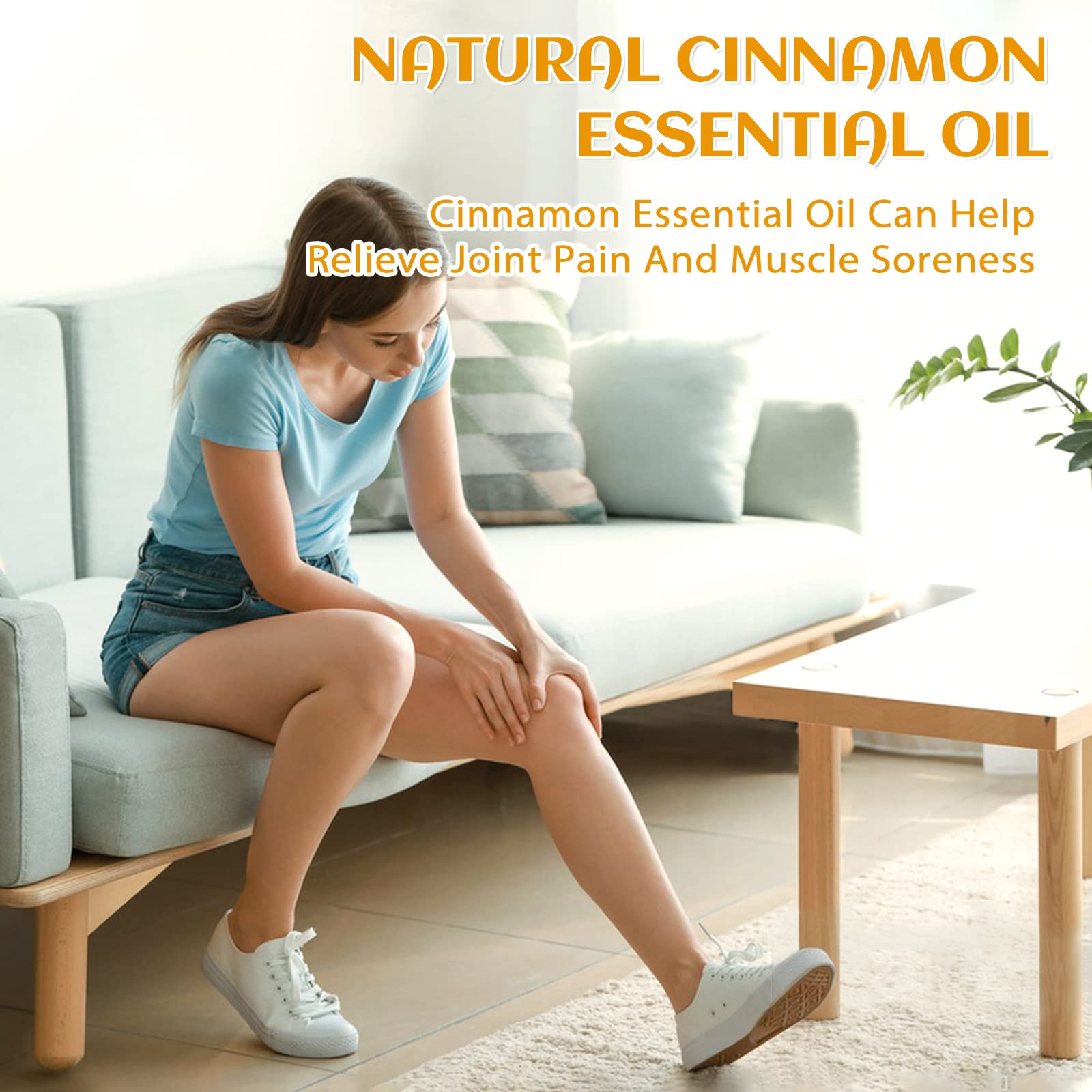 EVOKE OCCU cinnamon oil on pinecones for festive holiday aroma