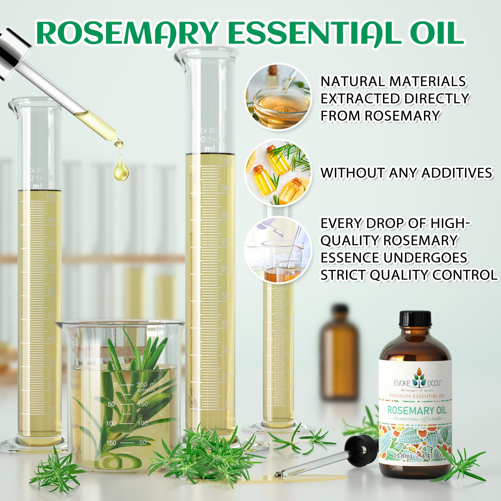 EVOKE OCCU Rosemary Oil dandruff-relief concept image