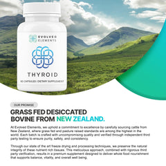 Evolved Elements Thyroid New Zealand sourcing image; lush pastures imply grass-fed quality for holistic living