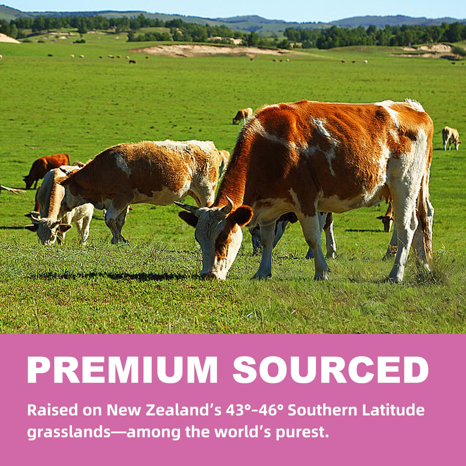 Ewecxine Beef Organ Supplement for Women herbal-complex features Vitex, Ashwagandha, and Black Cohosh