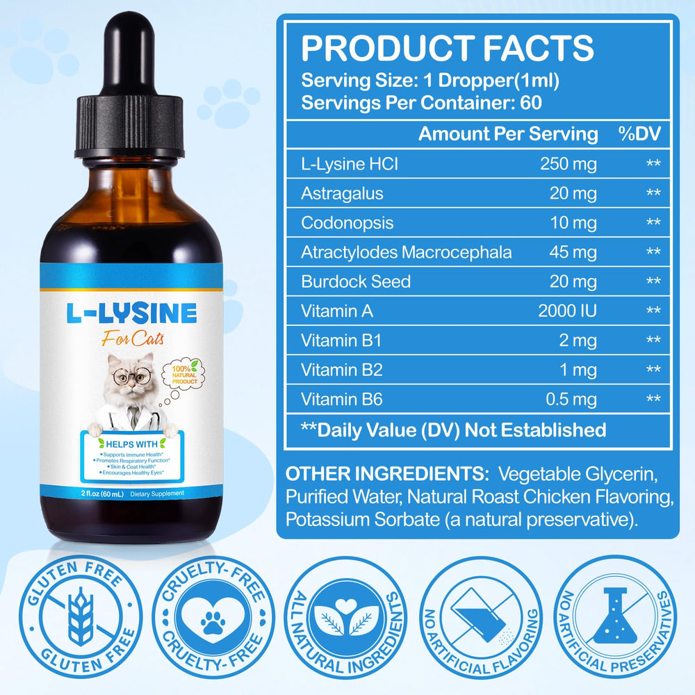Fanshi Lysine cat-eye health image focuses on bright eyes and tear staining potential