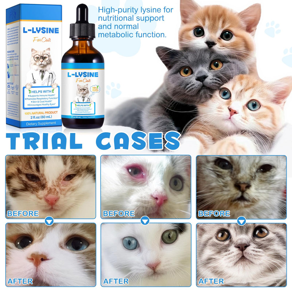 Fanshi Lysine formula emphasizes skin and coat shine with daily use