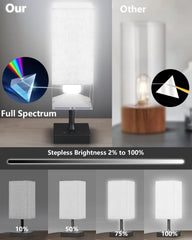 FARRIDE light covering 360 degree illumination in a living room