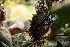 Close-up of Fat Stone Farm elderberry juice label showing organic certification.