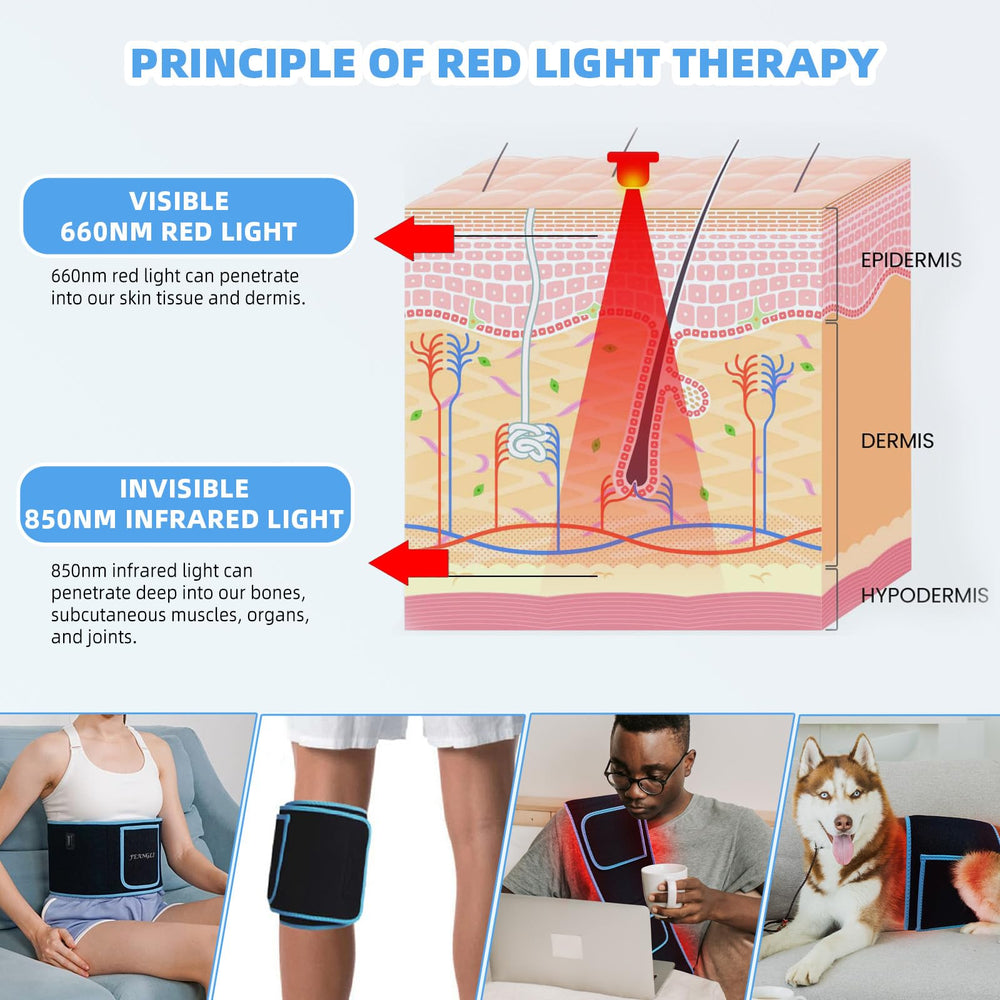feangli 660nm 850nm chip layout highlights dual-wave therapy.