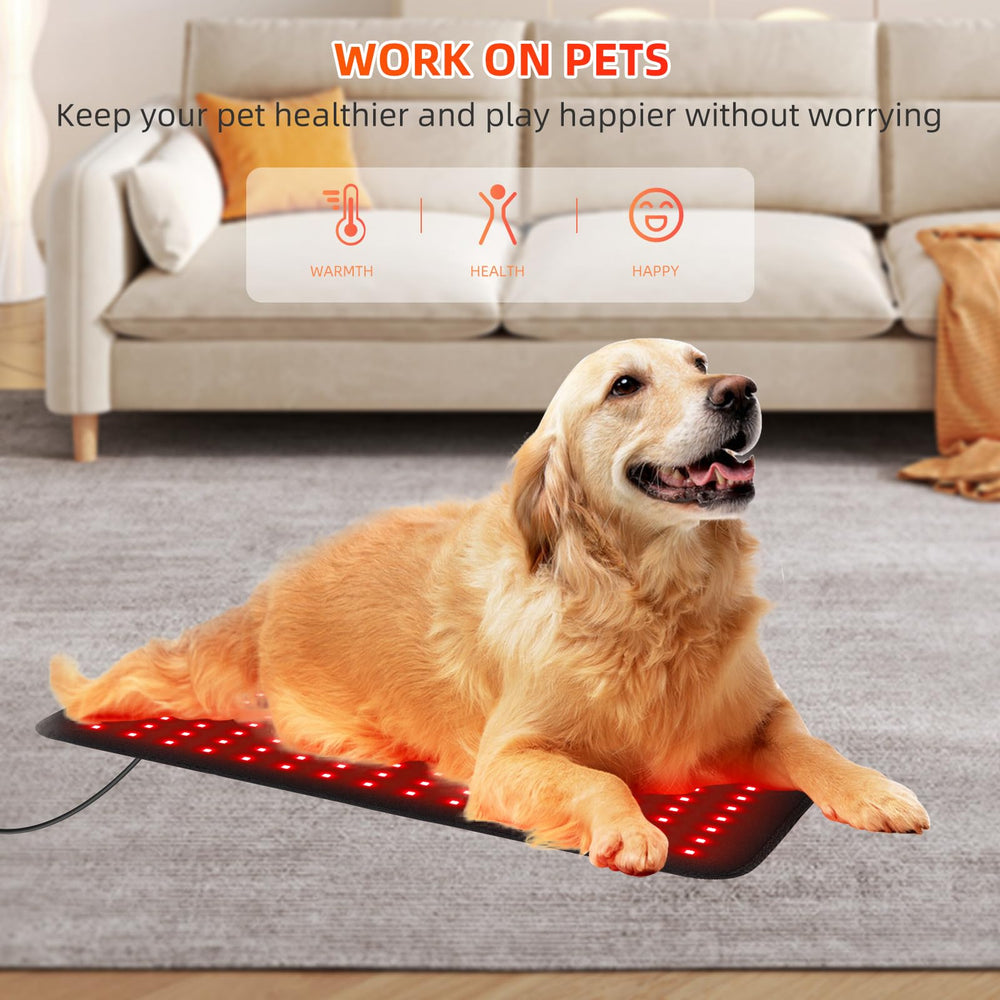 feangli pet-friendly therapy wrap used with a pet for gentle comfort