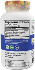 Feel Good Superfoods Berberine Phytosome label close-up highlights vegan, non-GMO formulation for daily living.