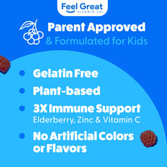 Feel Great Vitamin Co elderberry gummies for kids nutrition panel visible
