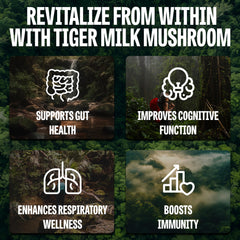 Close-up of Tiger Milk Mushroom capsules highlighting clean, vegan formula.