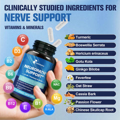 Close-up of Femmetra ingredients featuring R-ALA and NAC for antioxidant support