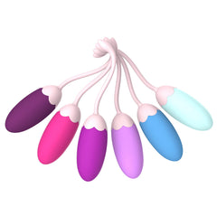 FENHUA Kegel system packaging highlights ready-to-train pelvic health kit.