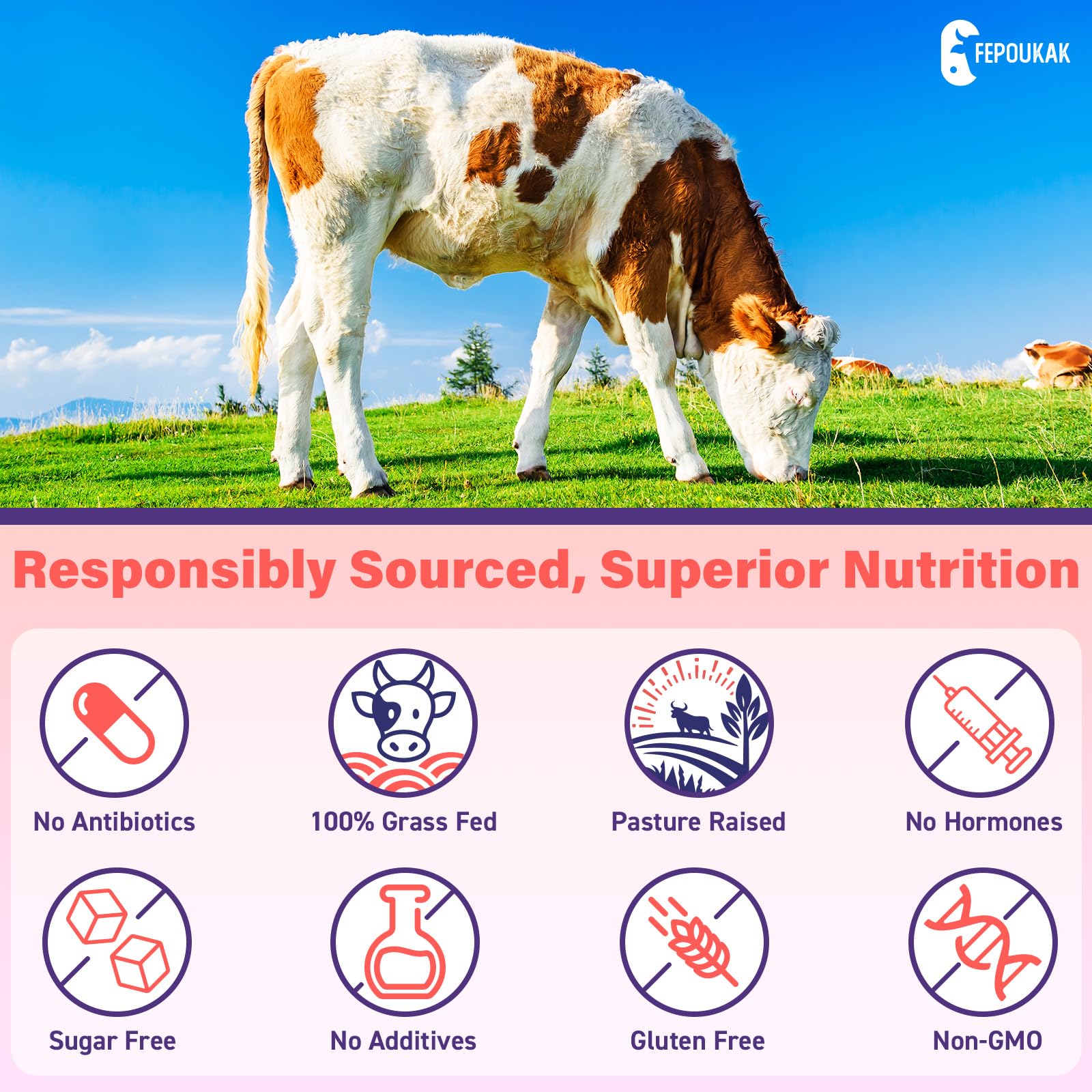 Fepoukak seven-organ blend showcases variety and targeted nutrients.