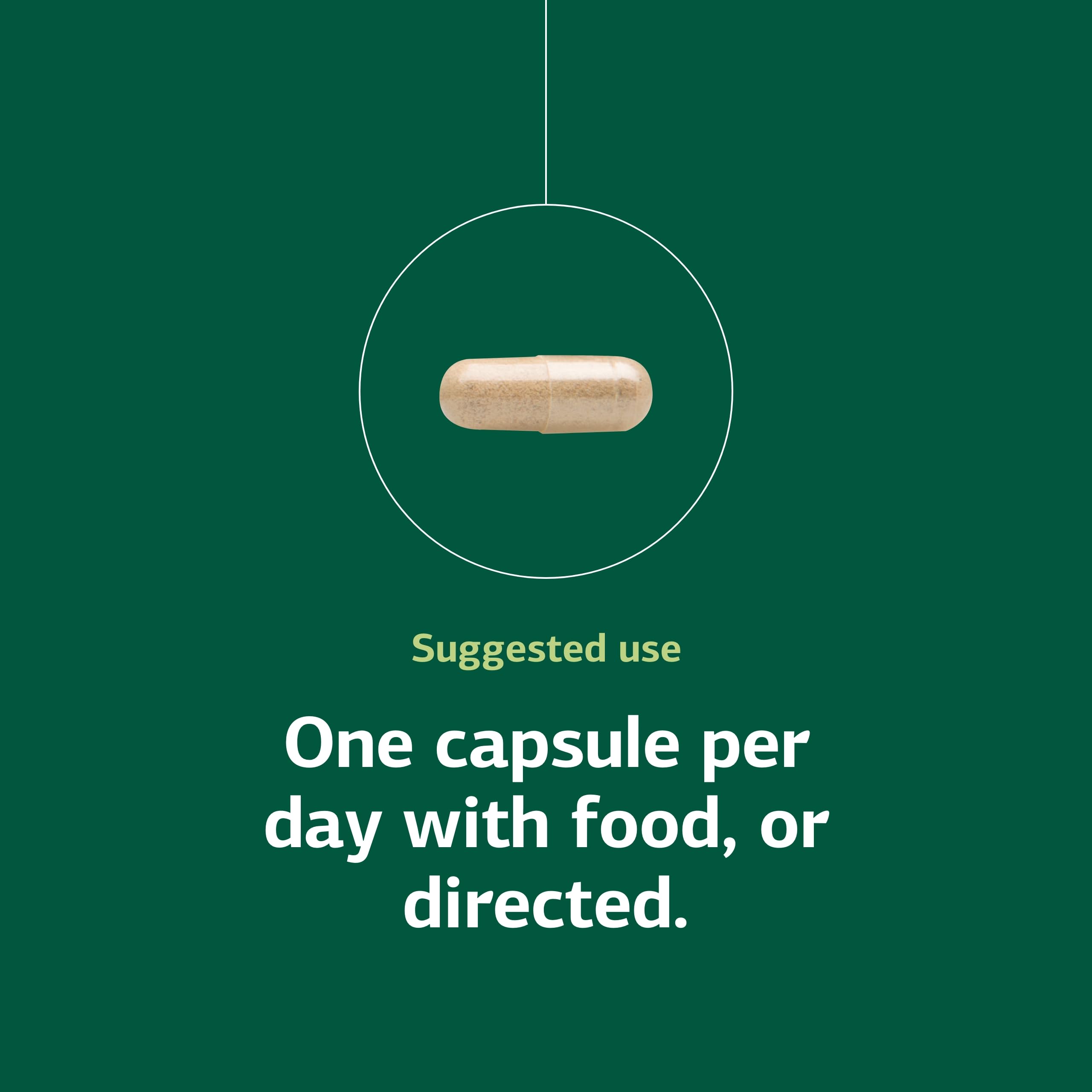 Ferrofood ingredients panel emphasizing whole-food-based formulation