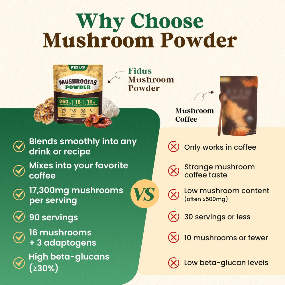 Fidus 16 mushroom powder scoop illustrating convenient 2g daily serving.