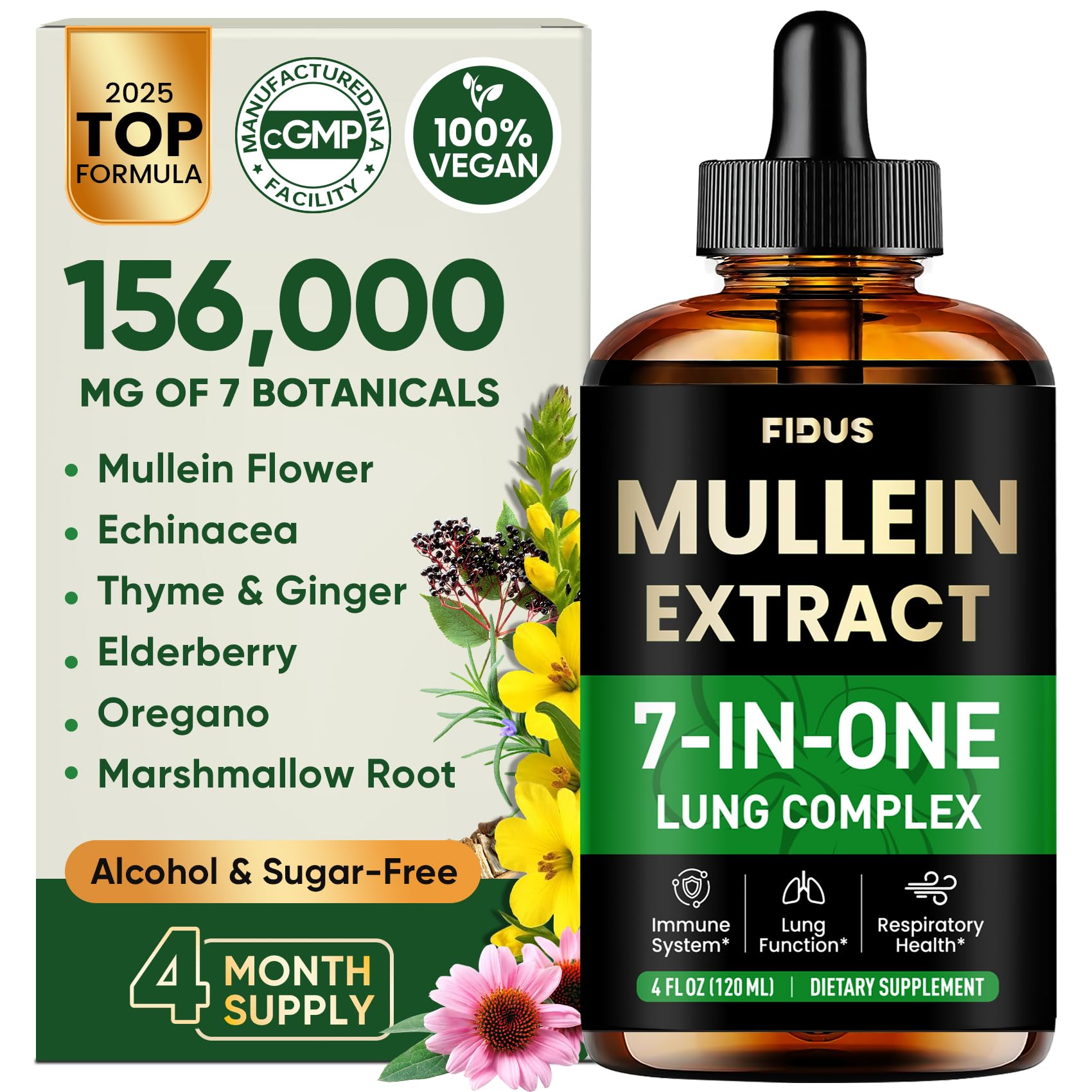 Fidus Mullein Drops bottle with label signaling lung support.