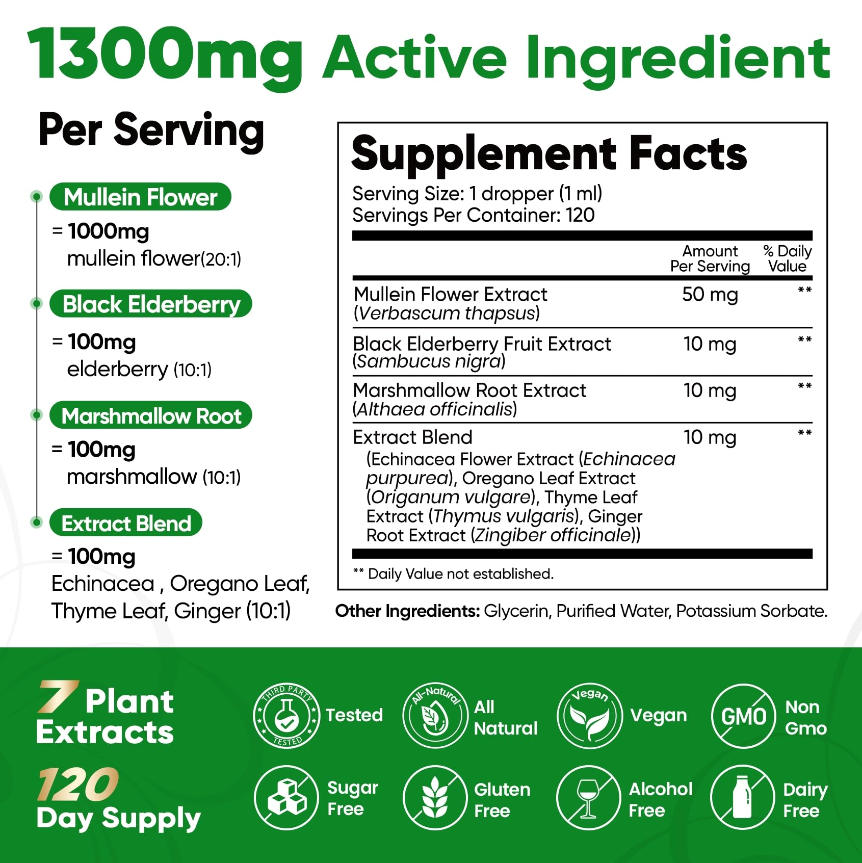 Mullein flower and leaf extract illustration on Fidus bottle for respiratory care.