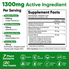 Mullein flower and leaf extract illustration on Fidus bottle for respiratory care.