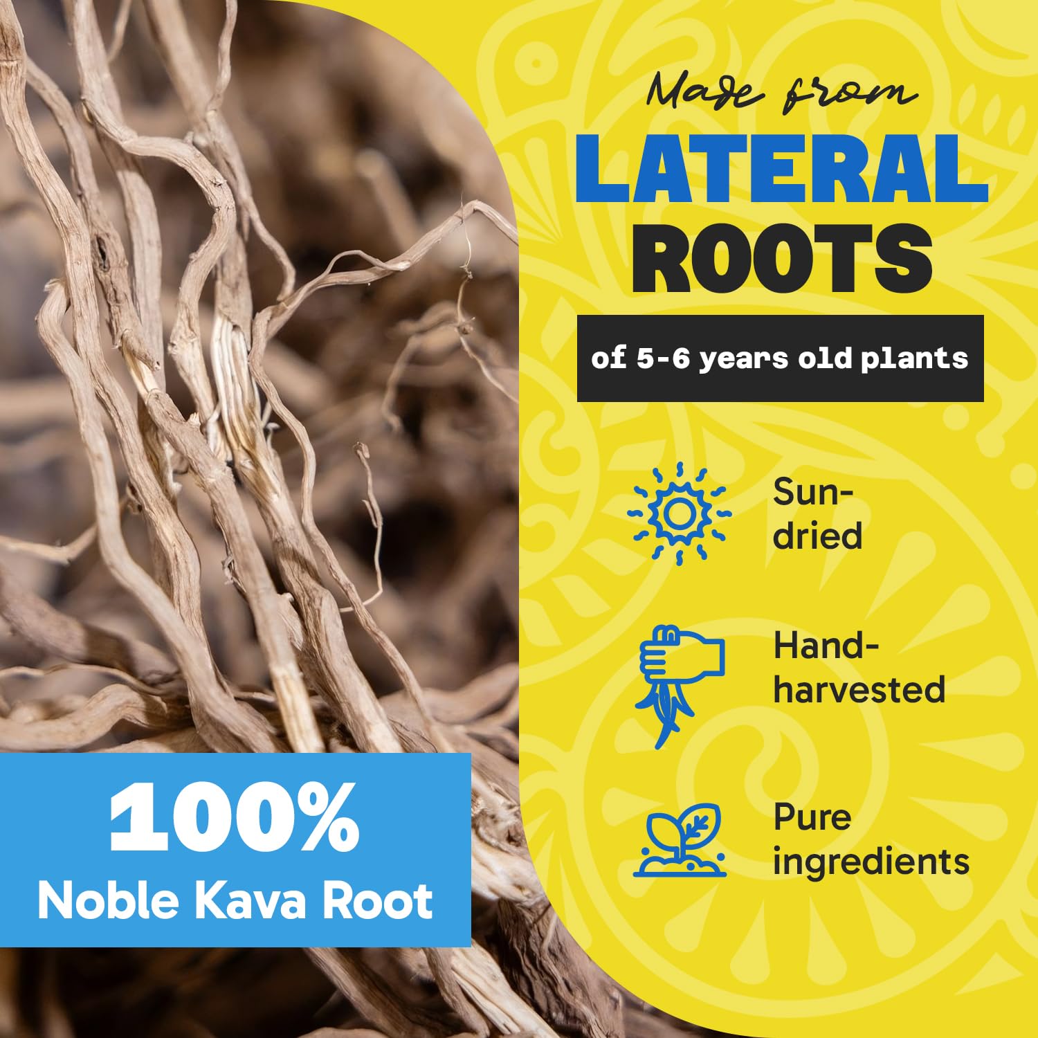 Fiji Vanua Kava Vanuatu sun-dried roots highlight potency and natural purity