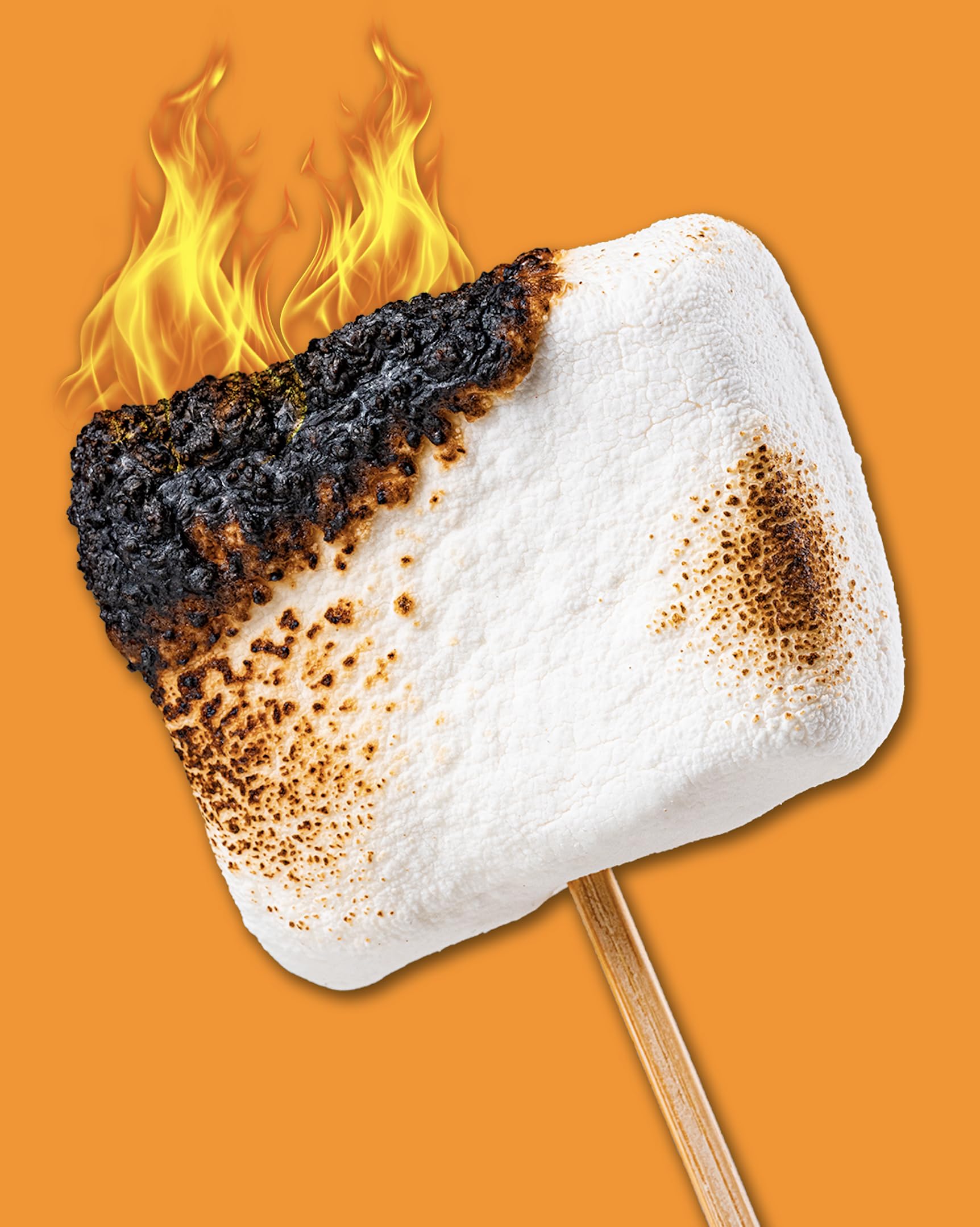 Close-up of campfire S'mores filling with creamy texture and protein.
