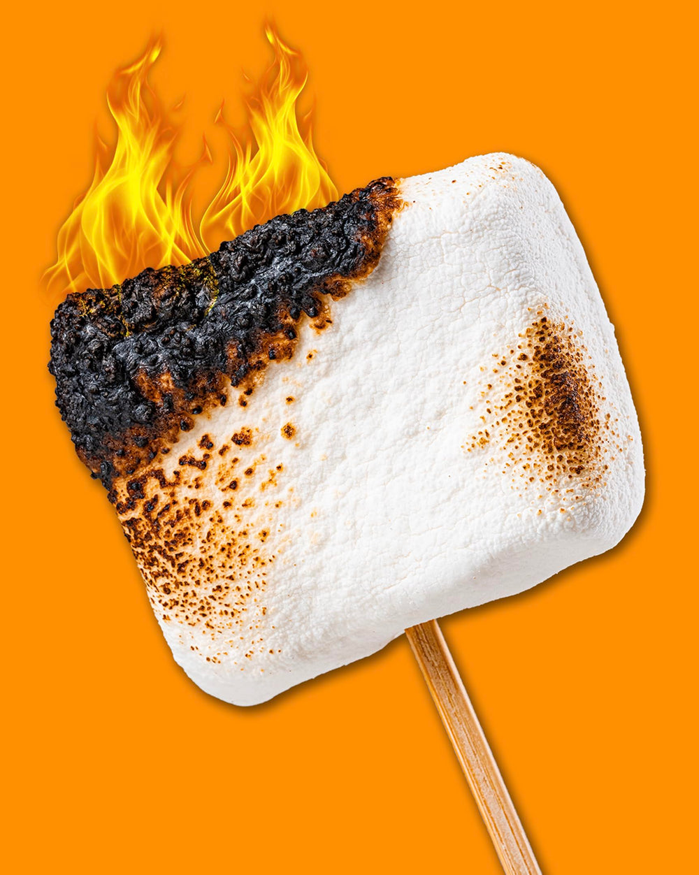 Close-up of campfire S'mores filling with creamy texture and protein.