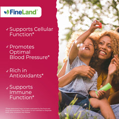 FineLand 40% Ellagic Acid label highlights standardized potency.