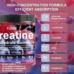 Fitfido Creatine Monohydrate Gummies blackberry bottle highlights vegan, sugar-free option