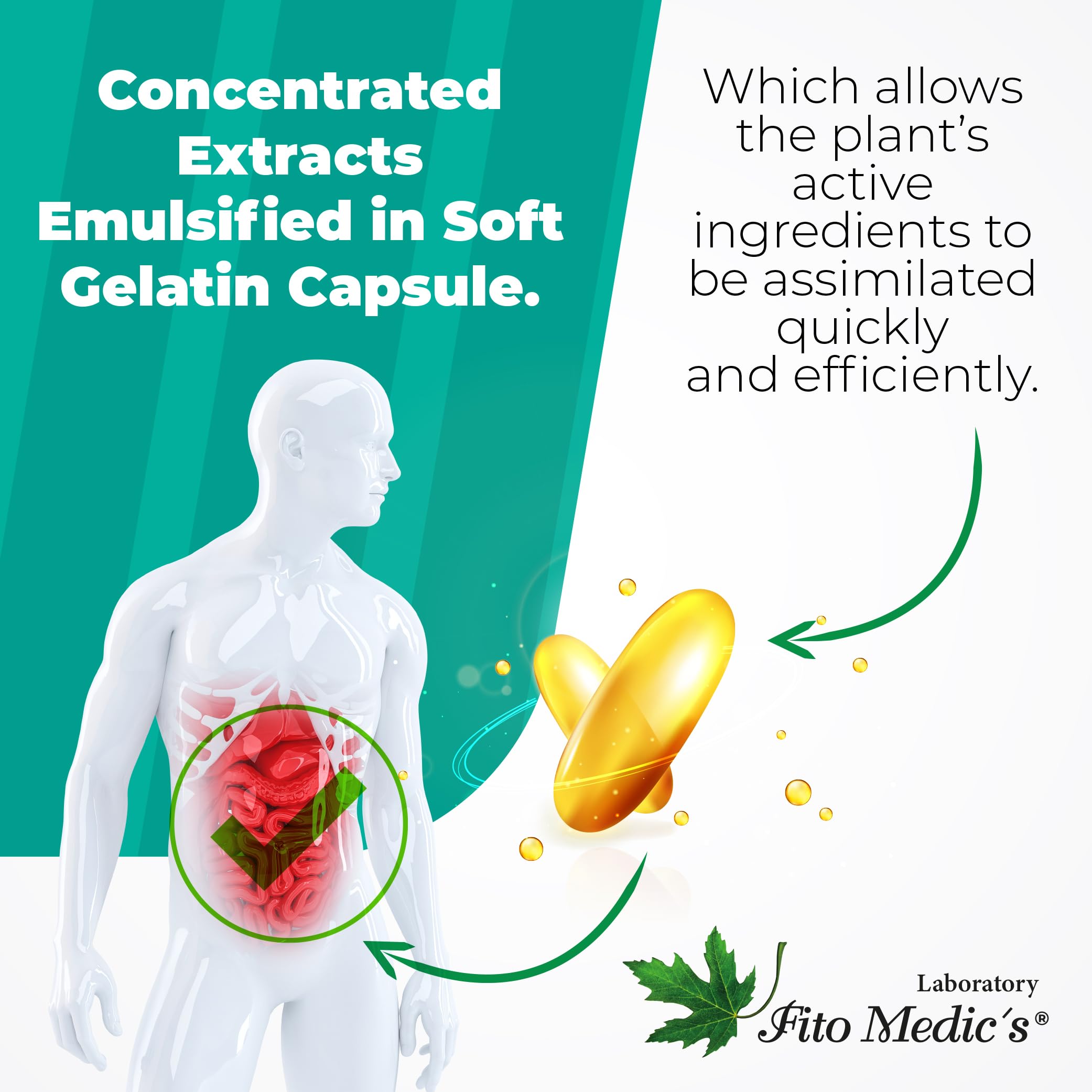 Illustration emphasizes a 100-day supply for sustained daily use.