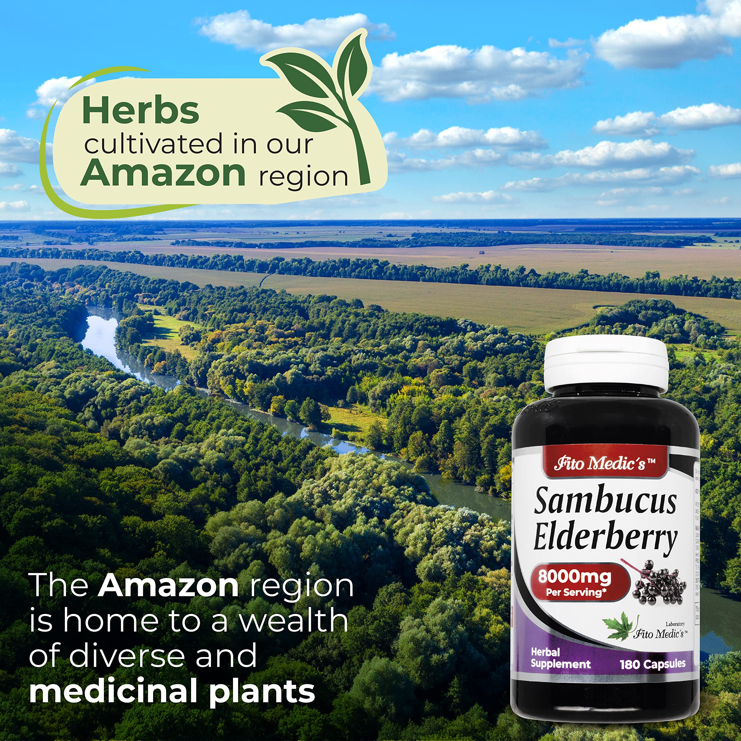 Fresh elderberries and natural ingredients symbolize antioxidant-rich nutrition.
