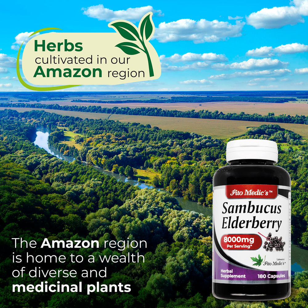 Fresh elderberries and natural ingredients symbolize antioxidant-rich nutrition.