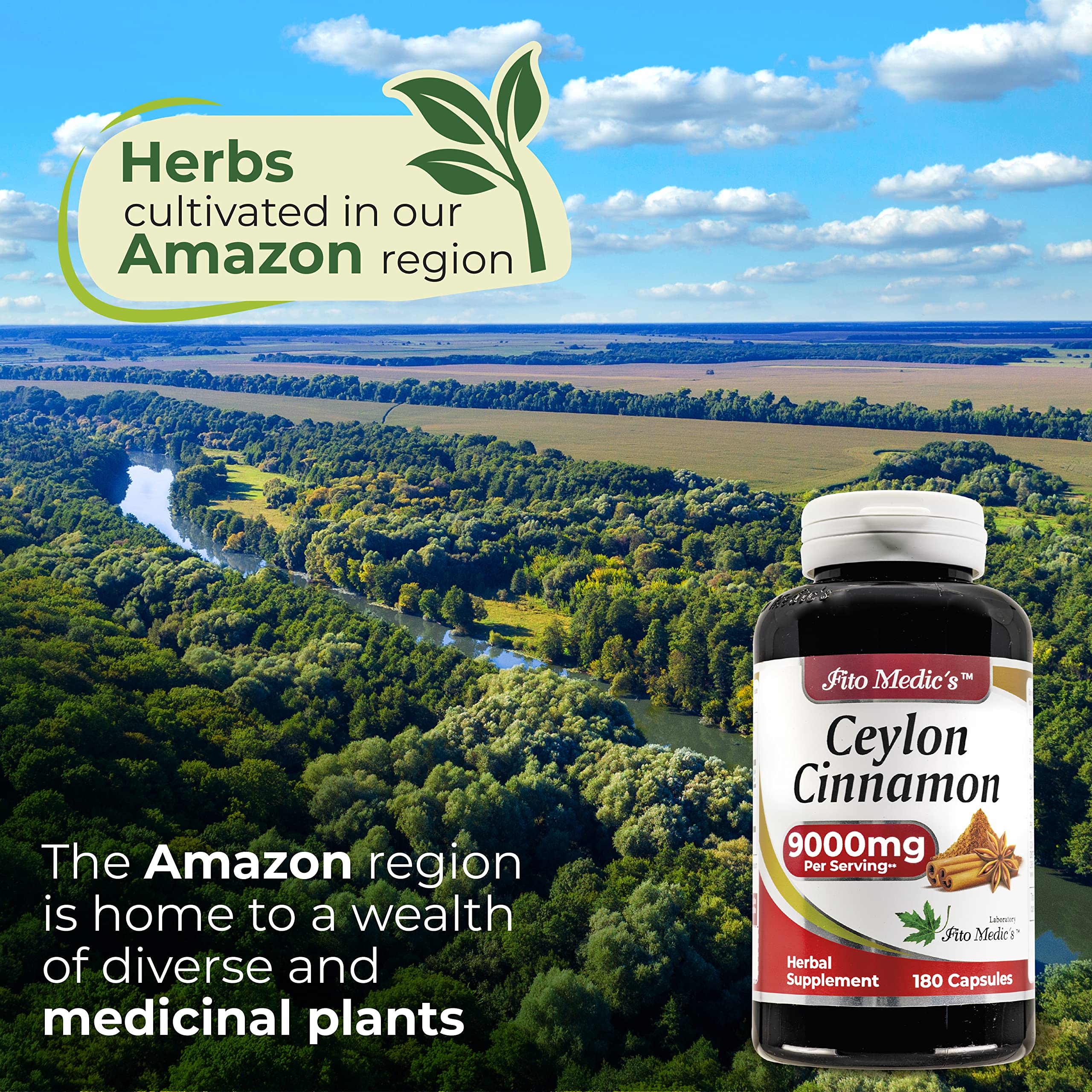 Cinnamon in tea or coffee with FITO MEDIC'S Lab cinnamon