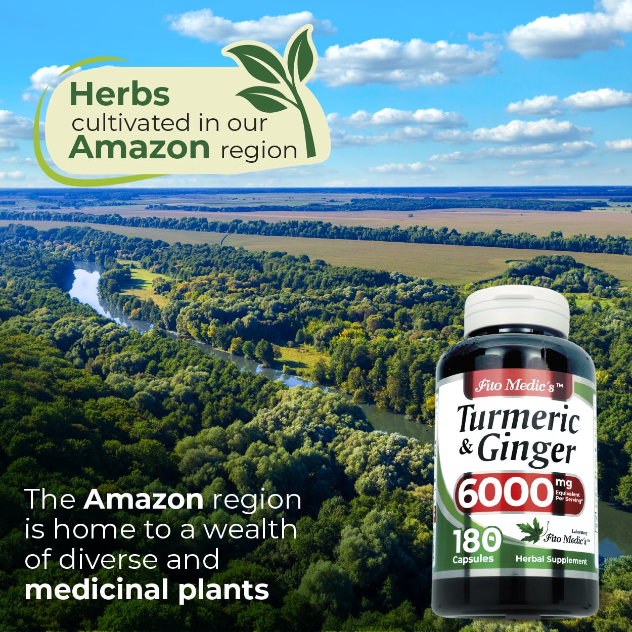 Ginger roots beside capsules show natural flavor and daily use.