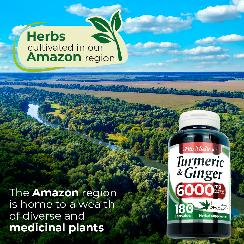 Ginger roots beside capsules show natural flavor and daily use.