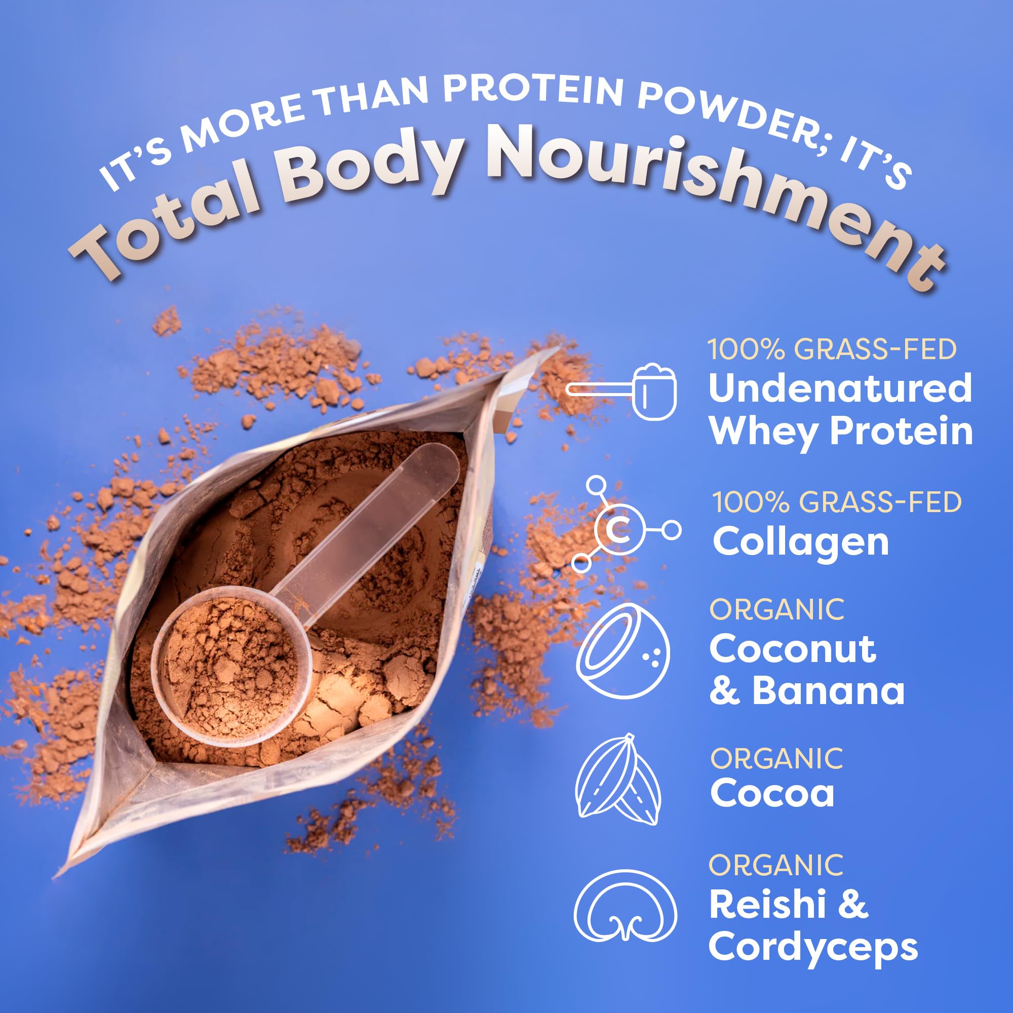 FlavCity Grass Fed Whey Chocolate on-the-go mug, quick post-workout fueling