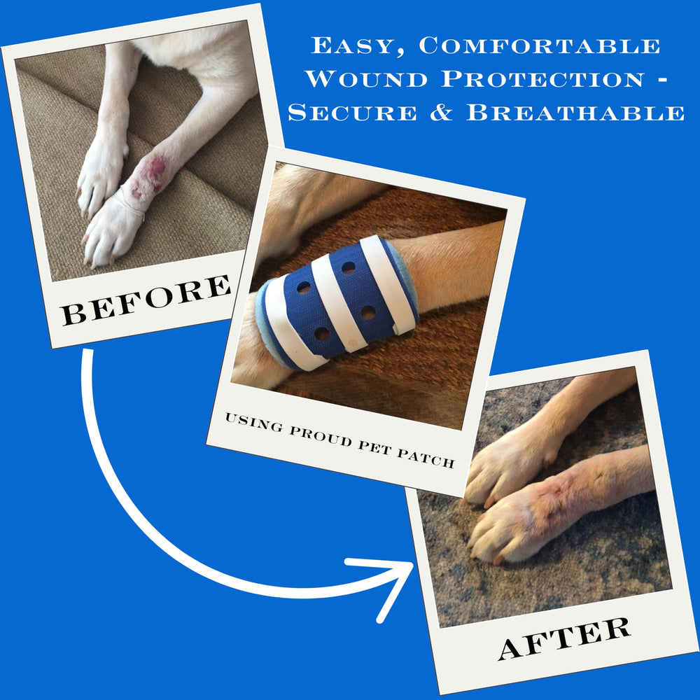 FlexTran Proud Patch Bandage used on hot spots with breathable design