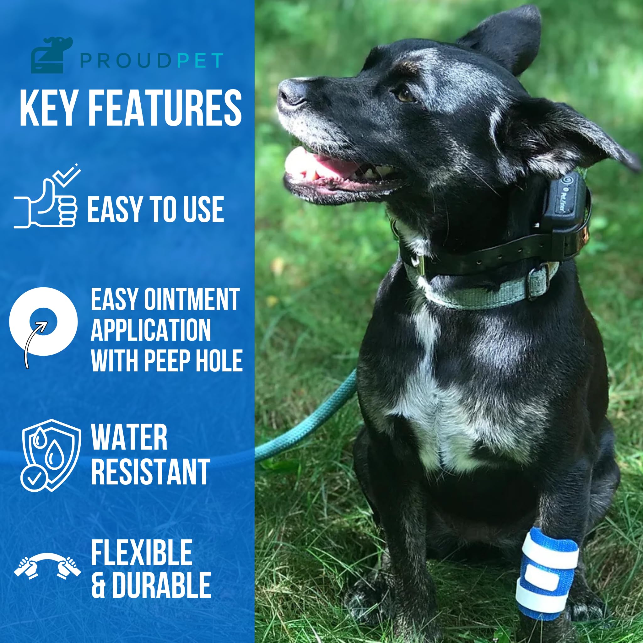FlexTran bandage on paw showing self-adhesive wrap and protection.