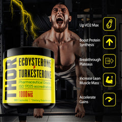 Flight Armour capsules close-up highlighting high-purity formula and convenient dosing