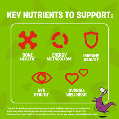 Flintstones Plus Iron key-ingredients: essential vitamins and minerals in one chewable