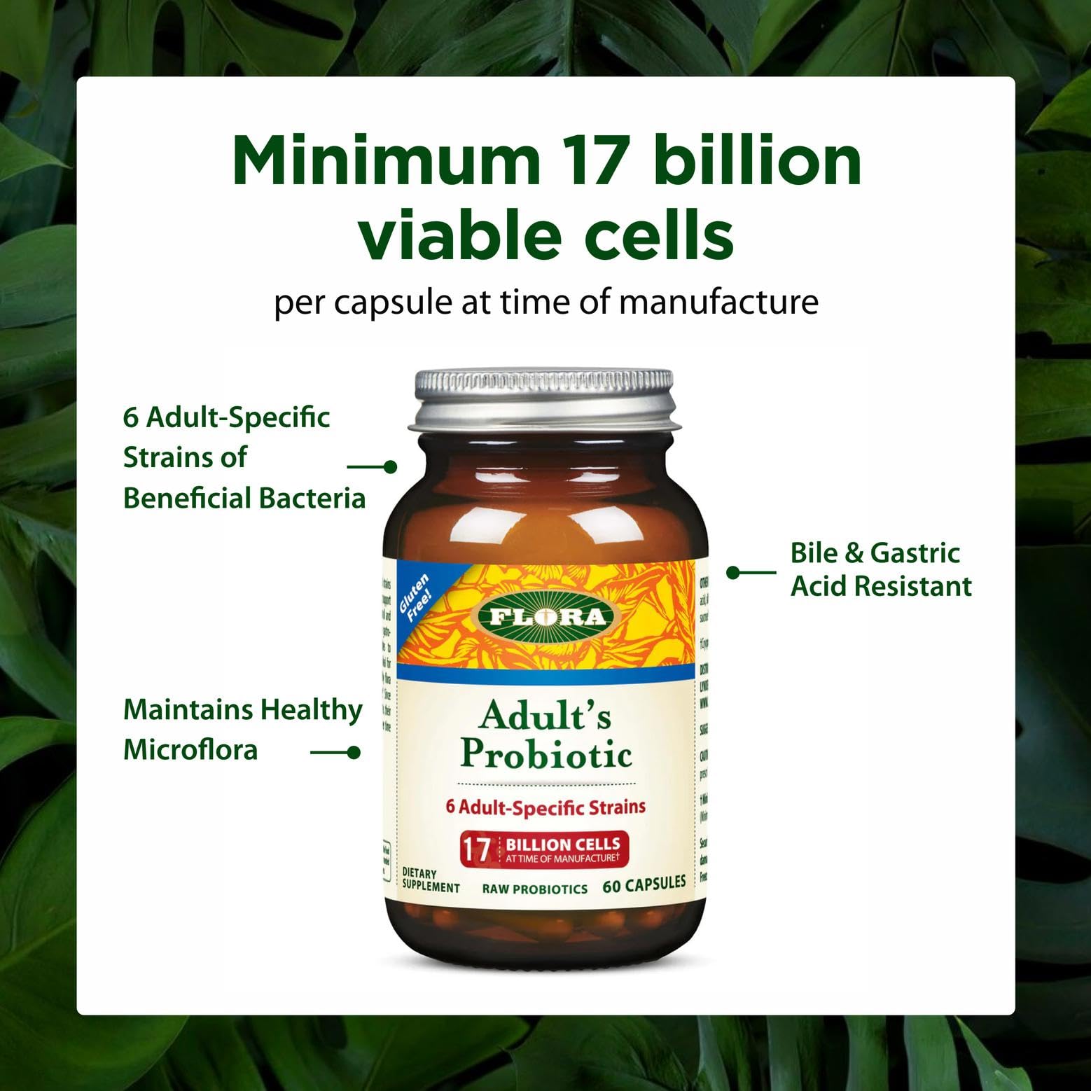 Flora Adult’s Probiotic daily-use image emphasizes consistent routine and gut balance.