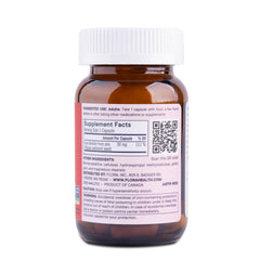 Flora Ferritin+ amber bottle protecting iron supplement potency.