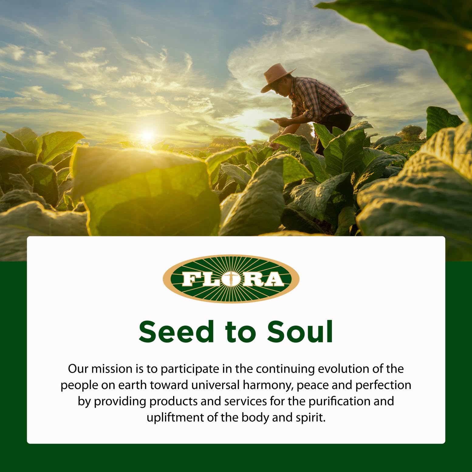 Flora Udo’s Oil boosts meal variety when added to family dinners.