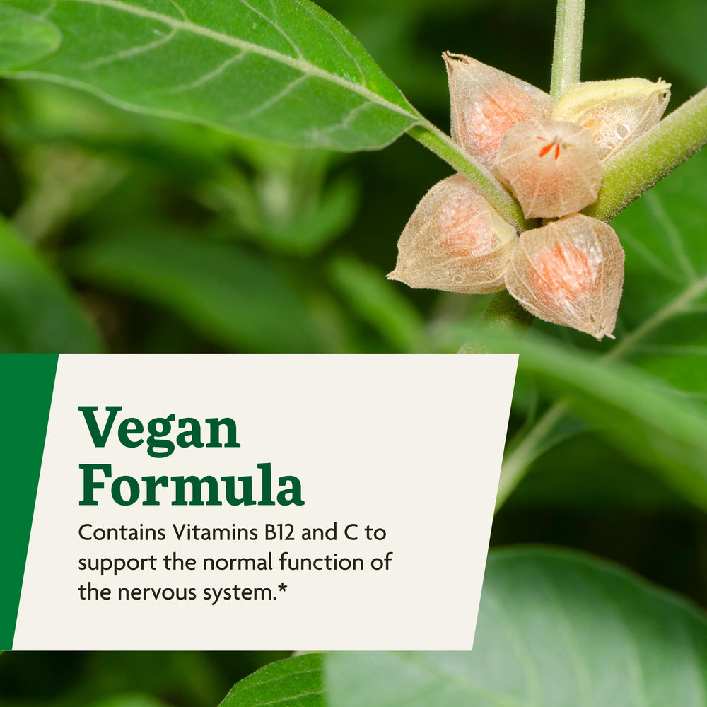 Floradix Ashwagandha Liquid vegan and non-GMO icons displayed