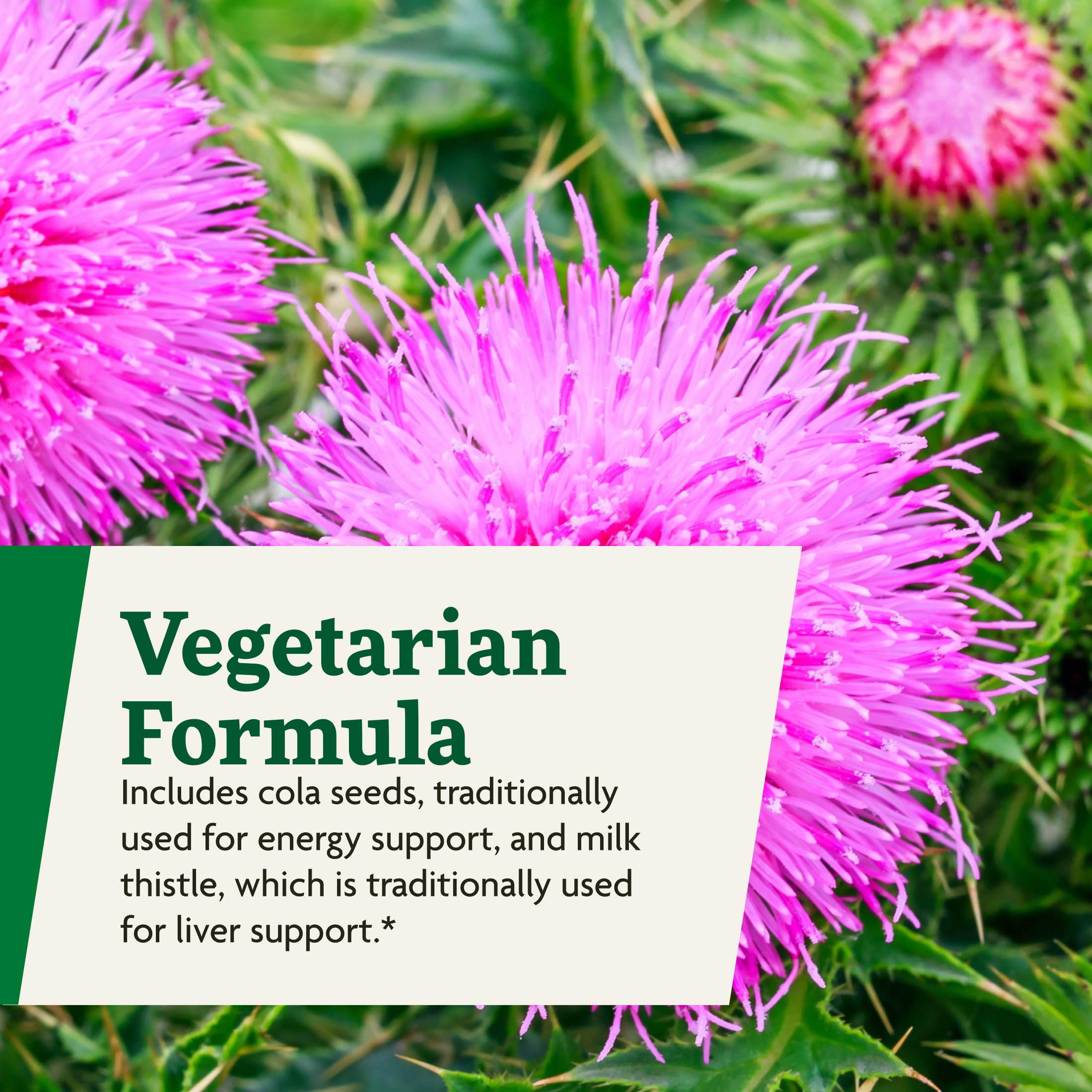 Floradix Epresat herbal blend with milk thistle visualization.