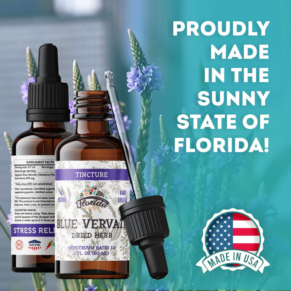 Blue Vervain plant in natural setting illustrating organic growth