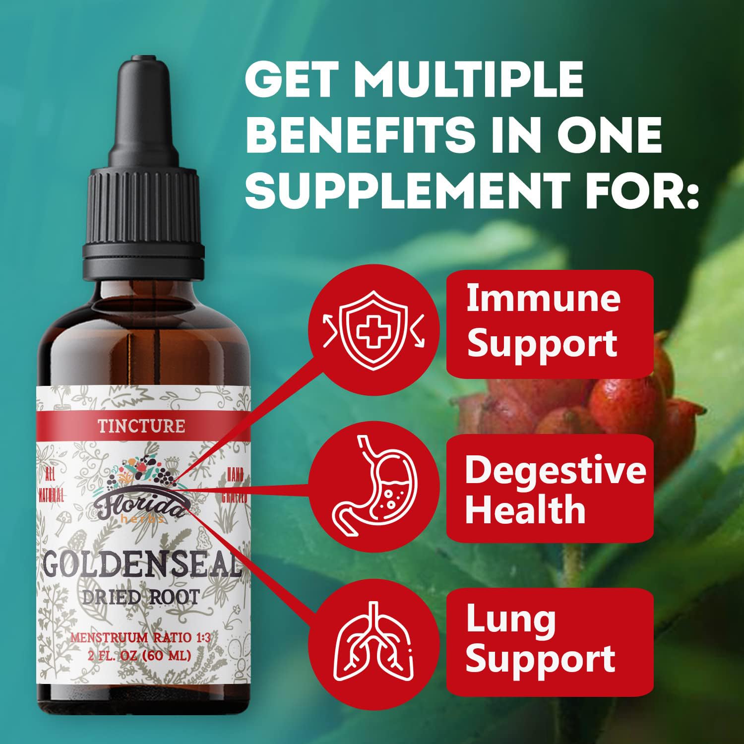 Florida Herbs Goldenseal tincture amber glass bottle protects potency and freshness.