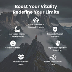 Flynew Shilajit ingredients graphic featuring fulvic acid content.