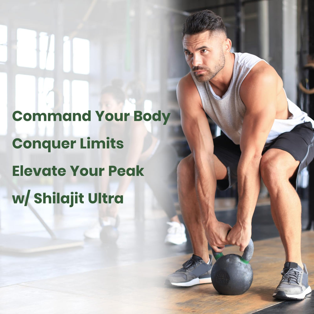 Flynew Shilajit packaging with 60 capsules and wellness note.
