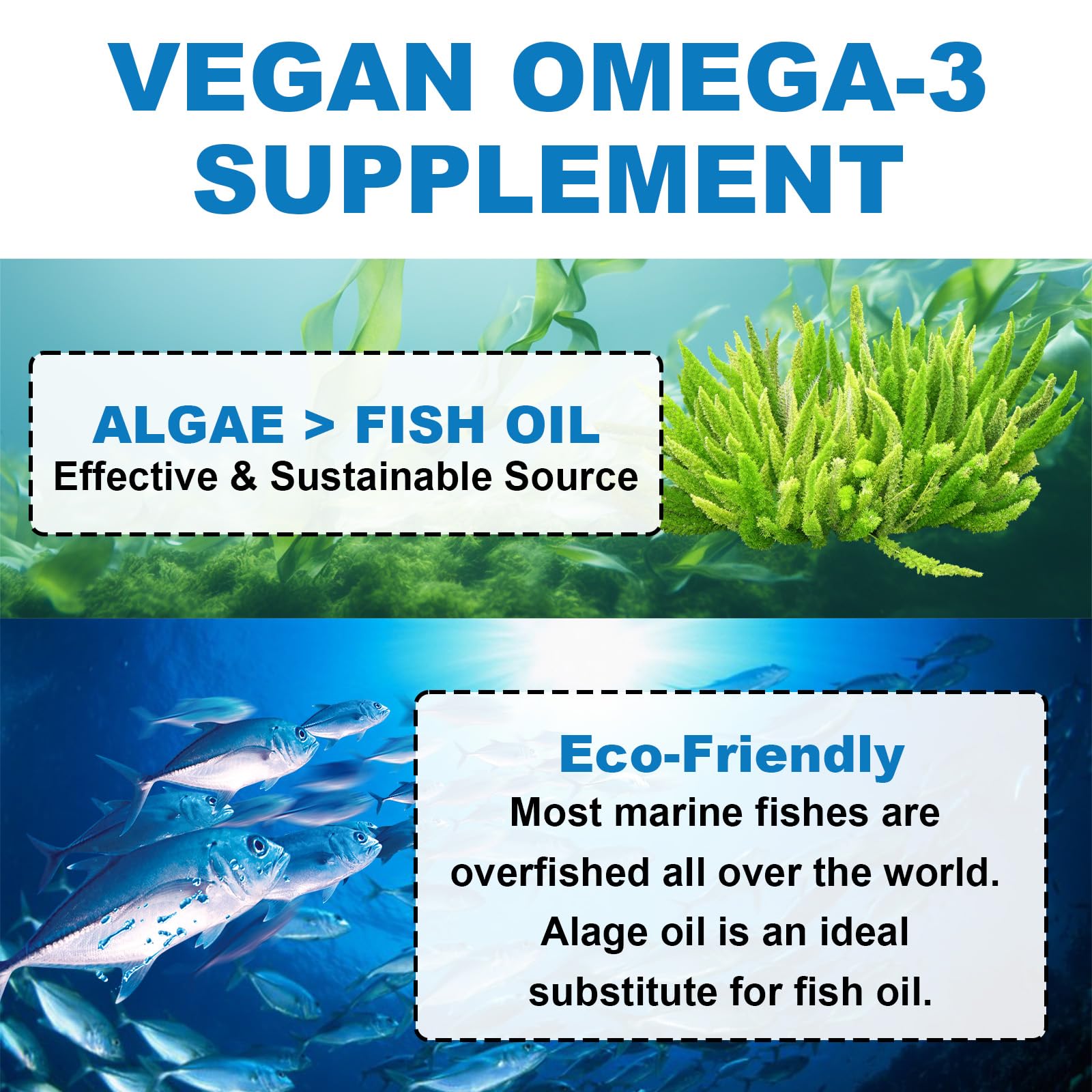 Flyrocer omega3 gummies include MSM for joint comfort potential.