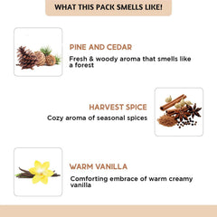 Folkulture Pine and Cedar essential oil for diffuser evokes woodland freshness