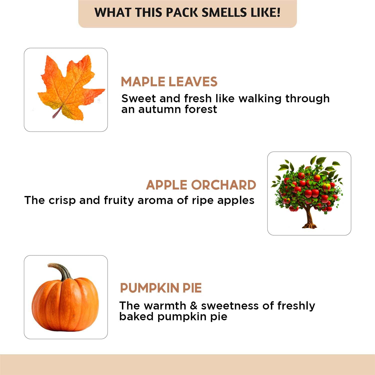 Folkulture Pumpkin Pie essential oil for diffuser creates comforting fall aroma